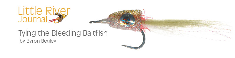 Baitfish Banner
