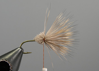 Step 3