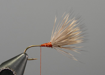 Step 4