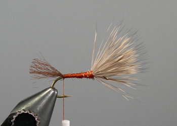 Step 5
