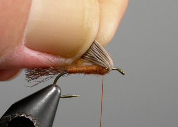 Step 7