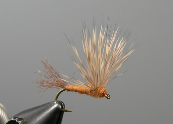 Step 9