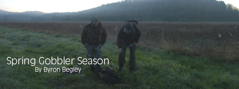 Hunters Look at Dead Wild Turkey