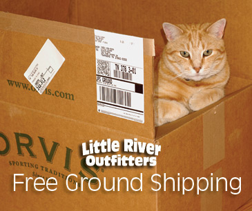Cat in Box