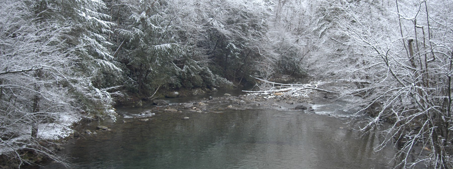 Middle Prong of the Little River
