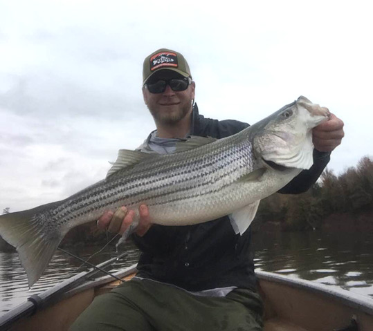 Dan Munger holding a striper he caught on a fly recently.