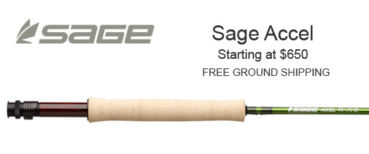 Sage Accel Ad