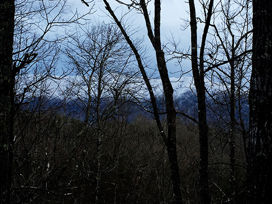 Snow on Scott Mountain in March 2017