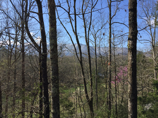 Wnow covered Scott Mountain at Great Smoky Mountains National Park.
