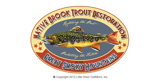 Brook Trout Restoration T-Shirt Image