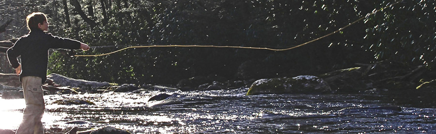 Young man fly casting.