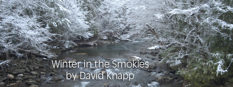 Snow on the Stream Banner