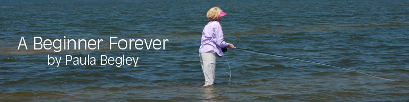 Paula Fishing Oyster Bars