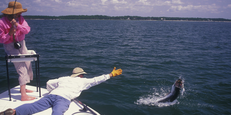 Tarpon Follow Up July 5th Doctors Lake 