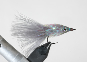 Fly tied with Palmer Hackle