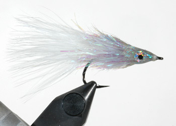White Palmer Chenille Fly