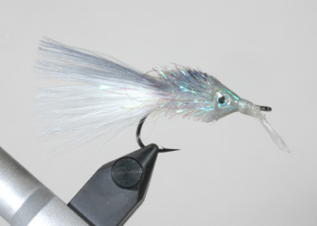 Palmer Chenille Fly with a Long Lip