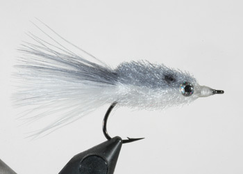 Puglisi Shad with Marabou Tail