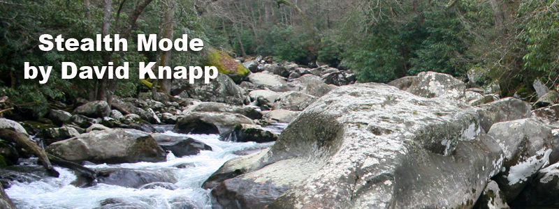 Smokies Stream Banner