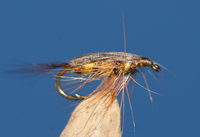 Blackburn Tellico Nymph