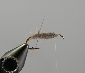 Muskrat Nymph Step 2