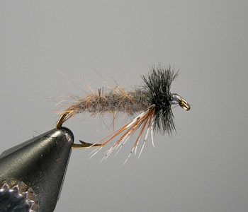 Muskrat Nymph Step 5