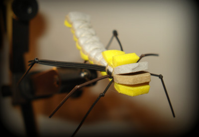 Grasshopper Pattern