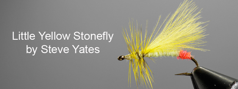 Little Yellow Stonefly Banner