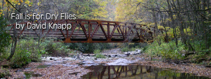 Bridge Over Little River