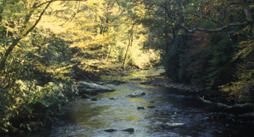 Slickrock Creek