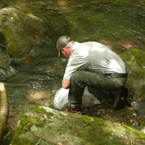 Biologist Stocks Brook Trout