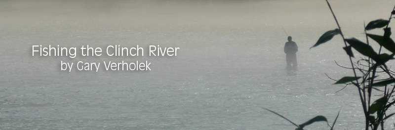 Angler Fishing the Clinch River