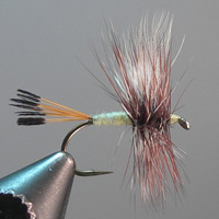 Hazel Creek Fly