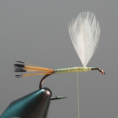 Learn to Tie the Hazel Creek Fly by Steve Yates February 2009
