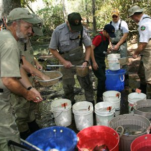 Sorting Trout by Species