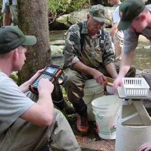 Measuring and Weighing Each Trout