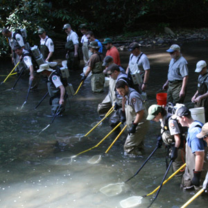 Large Group Sampling a River