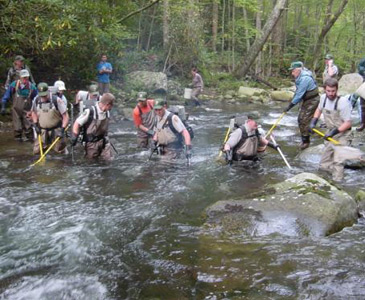 Biologists Electroshocking a Stream