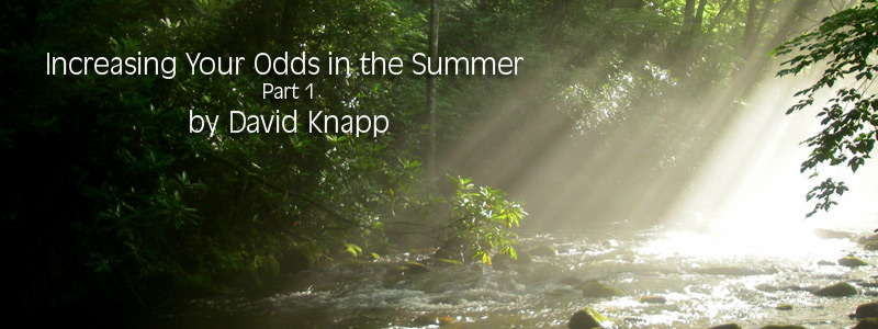 Smokies Stream