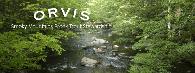 Orvis Banner