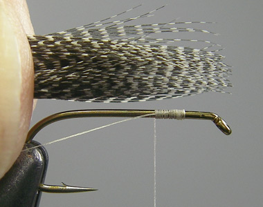 Photograph for Step 2