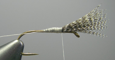 Photograph for Step 3