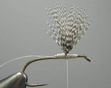 Photograph for Step 4