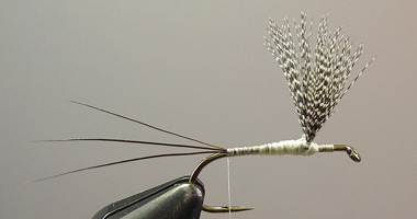 Photograph for Step 6