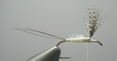 Photograph for Step 8