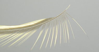 Photograph for Step 9