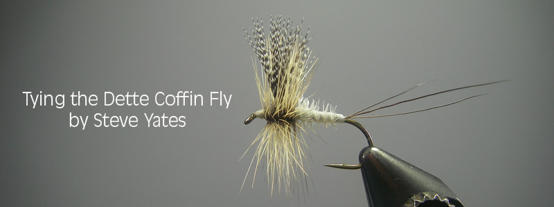 Coffin Fly Banner
