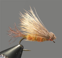 October X Caddis