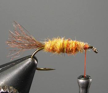 Step 4