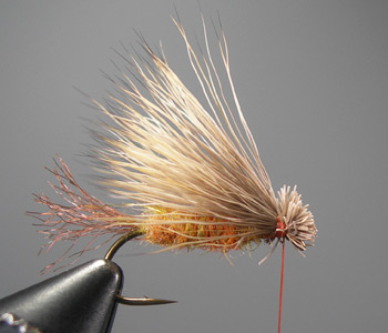 Step 6